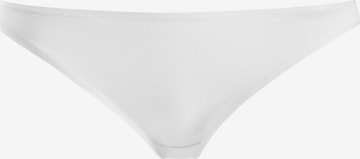 Hanro Panty ' Cotton Seamless ' in White: front