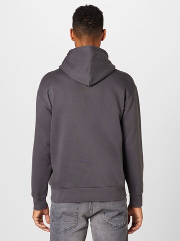 Champion Authentic Athletic Apparel Sweatshirt in Grau