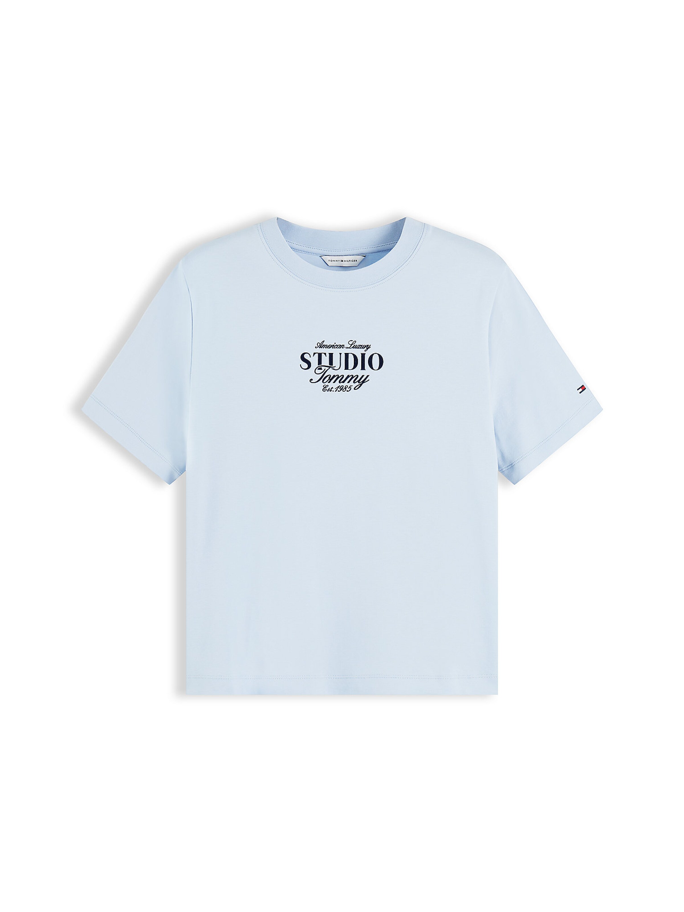 TOMMY HILFIGER T-Shirt in Blau: Vorderseite