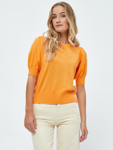 minus Trui in Oranje: voorkant