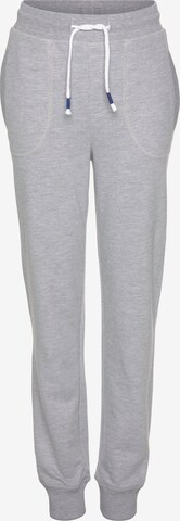 SCOUT Regular Pants in Grey