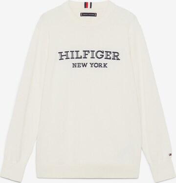 TOMMY HILFIGER Trui in Beige: voorkant