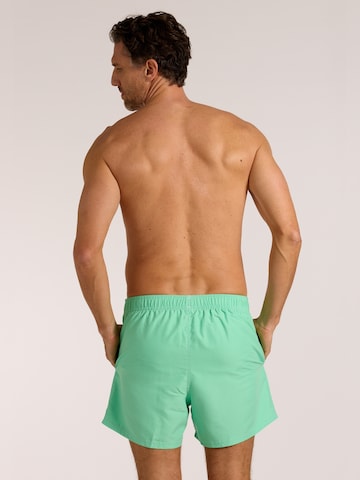 wavebreaker Board Shorts in Green