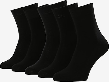 Albert Schäfer Socken in Schwarz: Vorderseite