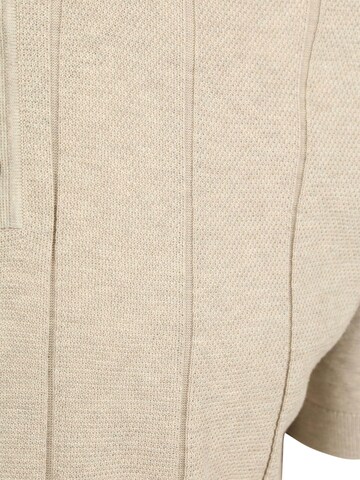 Profuomo Shirt in Beige