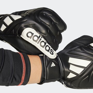 ADIDAS PERFORMANCE Sporthandschuhe in Schwarz