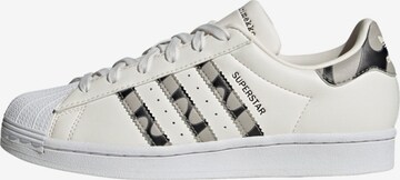 ADIDAS ORIGINALS Sneakers 'Superstar' in White: front