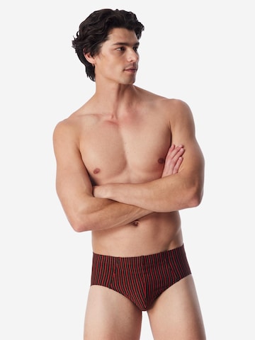 SCHIESSER Slip '95/5 Essentials - Cotton' in Gemengde kleuren