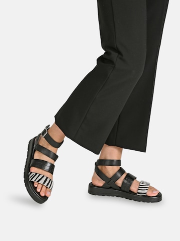 Crickit Sandals 'Janie' in Black: front