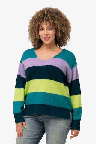 Ulla Popken Sweater in Mixed colors: front