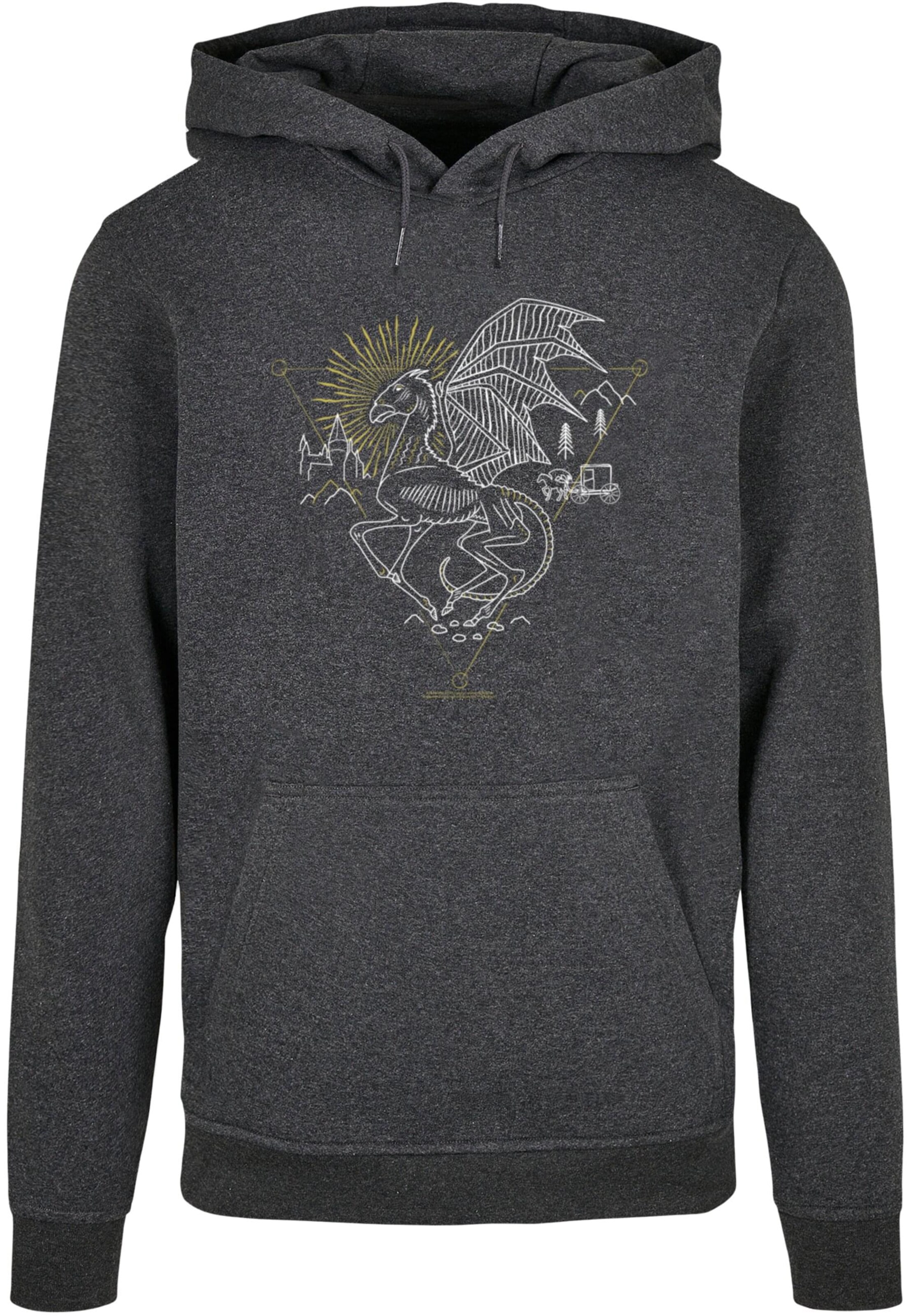 Sweat-shirt 'Harry Potter - Thestral' ABSOLUTE CULT en gris : devant