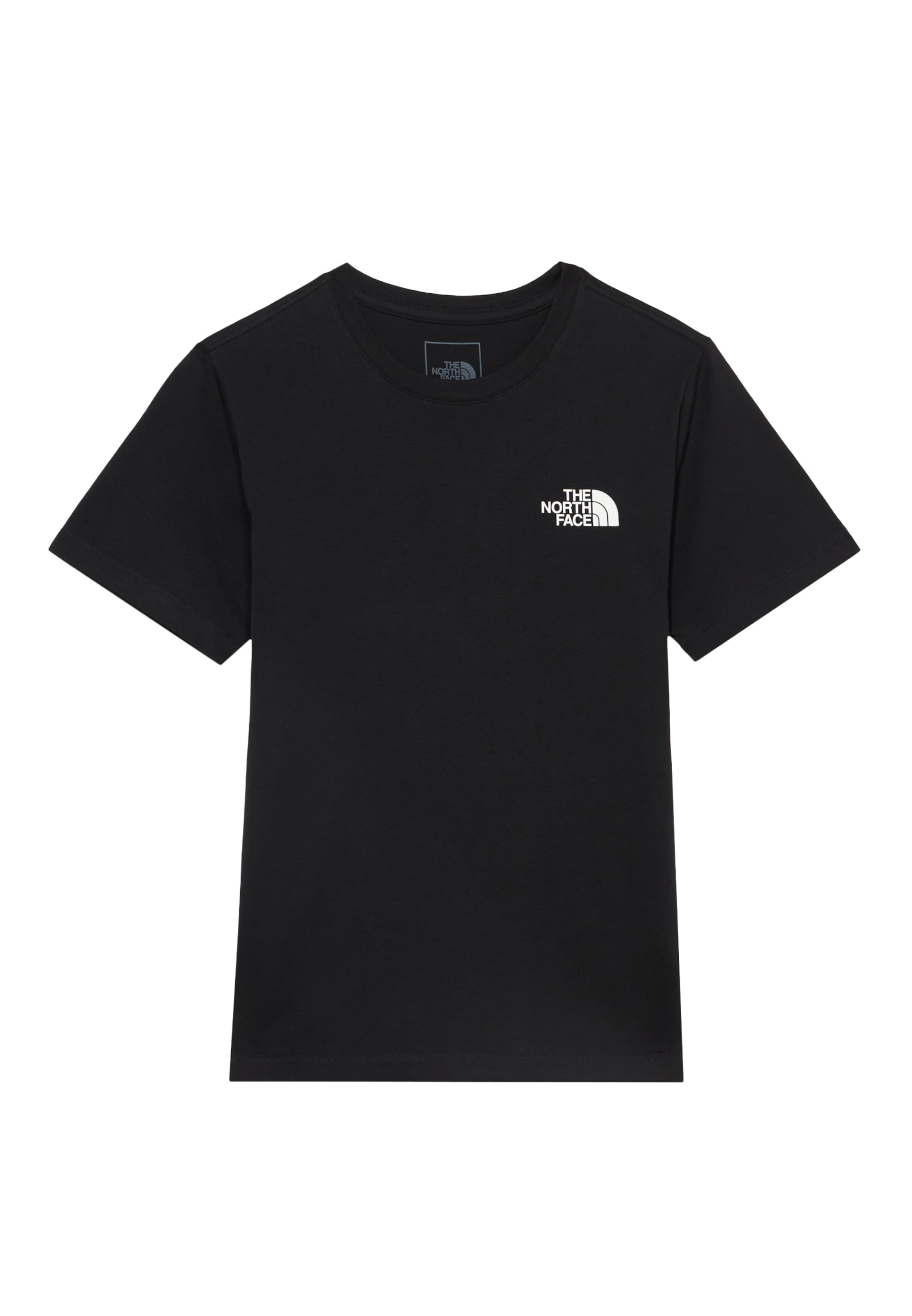 THE NORTH FACE Функционална тениска 'EVOLUTION' в черно: отпред