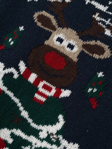 NAME IT Trui in Blauw