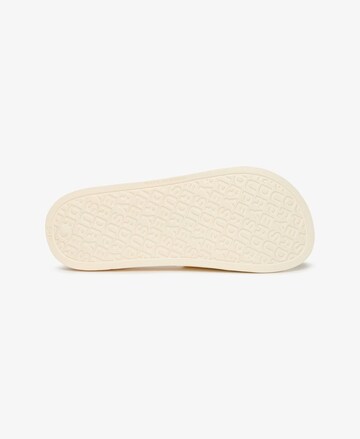 Claquettes / Tongs Superdry en blanc