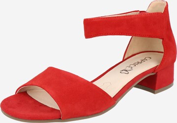 CAPRICE Sandals in Red: front