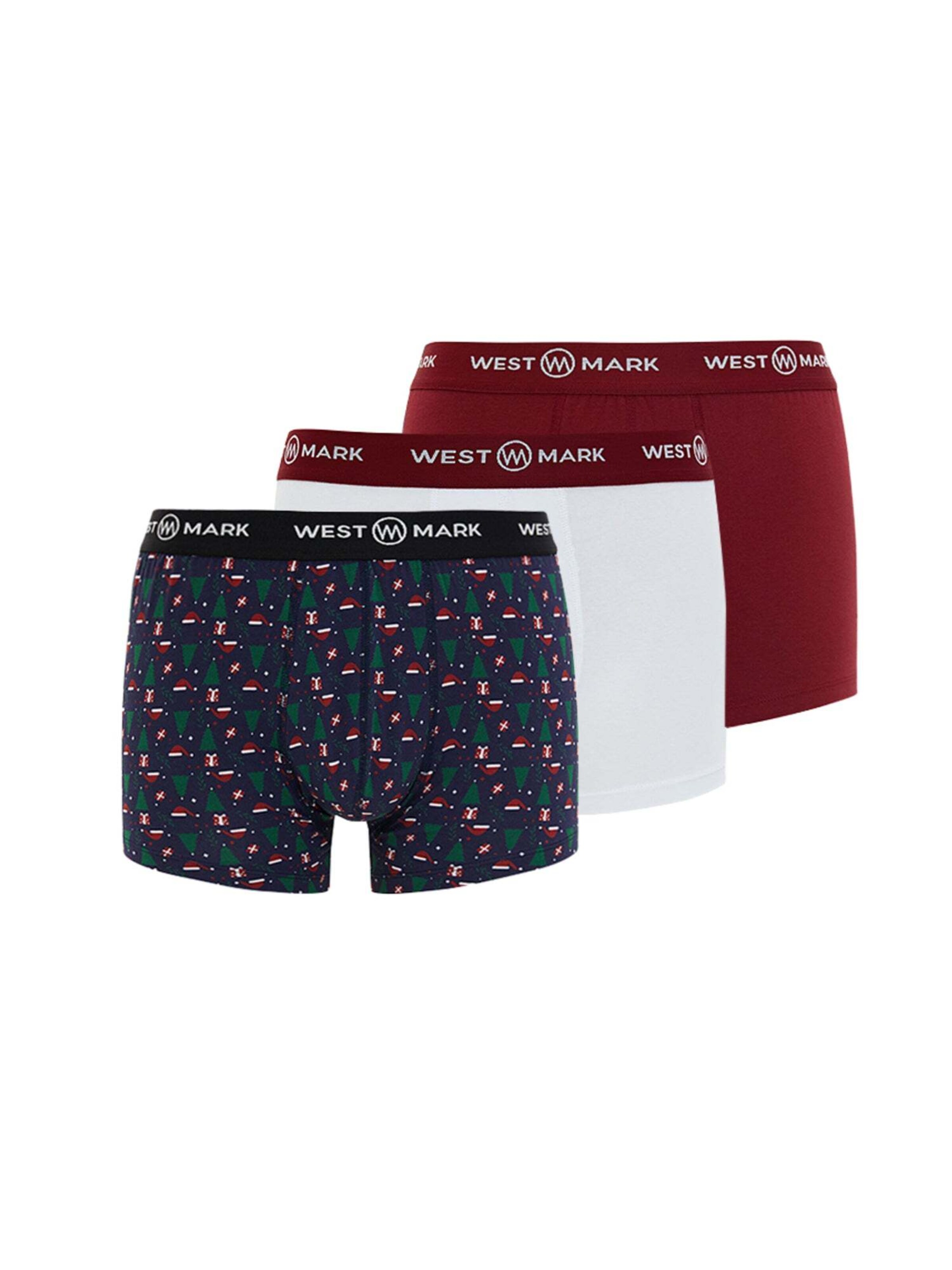 Boxer di WESTMARK LONDON in colori misti: frontale