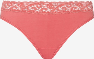 Hanro Panty ' Moments ' in Pink: front