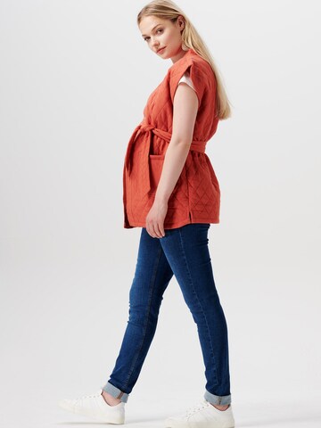 Esprit Maternity - Chaleco en naranja