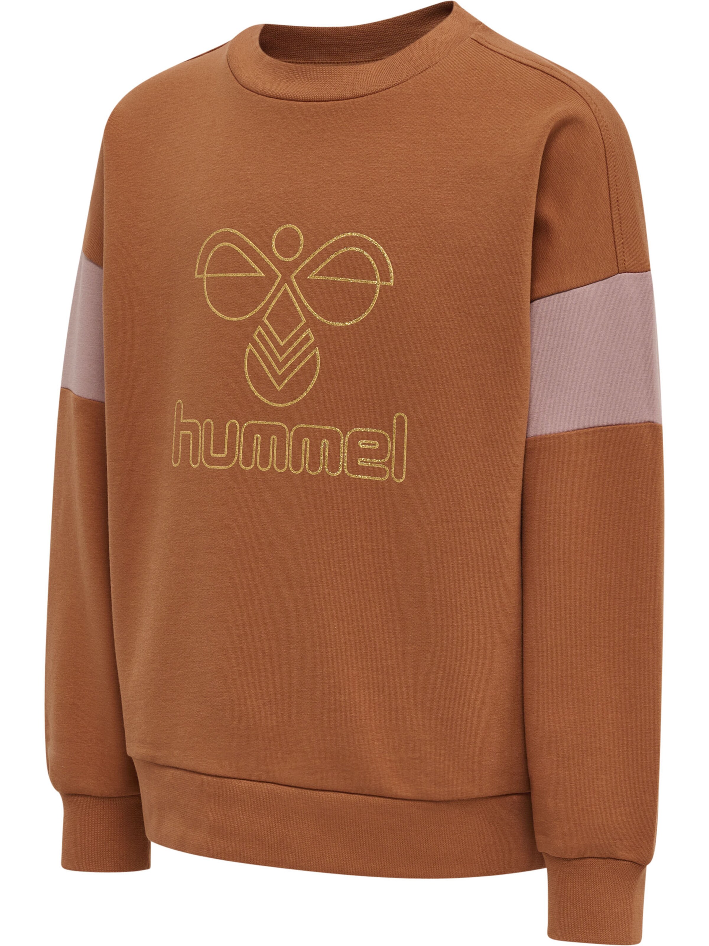 Hummel Sweatshirt in Brown
