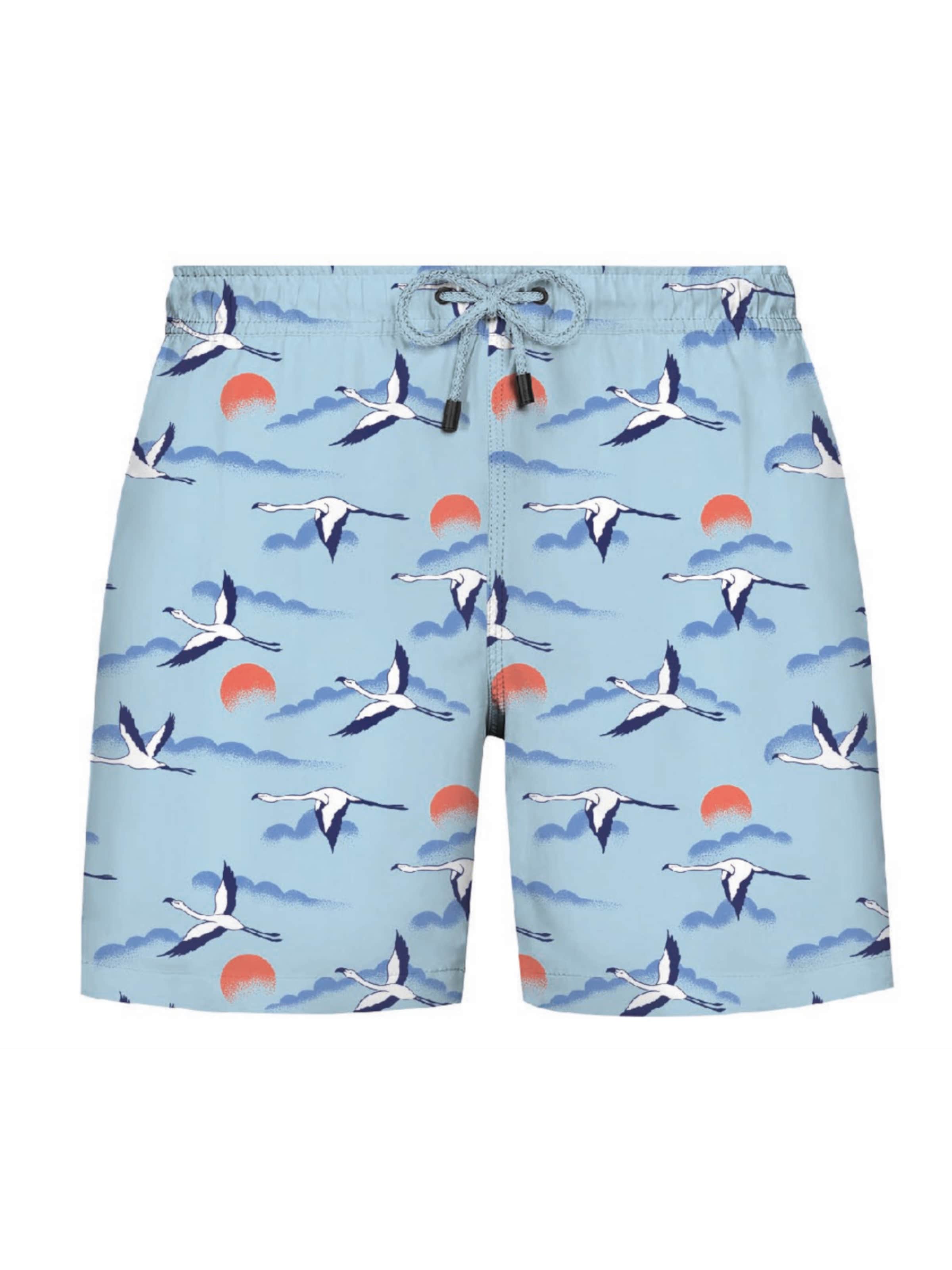 Shorts de bain WESTMARK LONDON en bleu : devant
