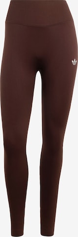 ADIDAS ORIGINALS Leggings 'Essentials' in Braun: Vorderseite