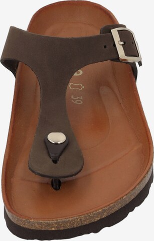 ROHDE T-Bar Sandals in Brown