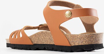 Bayton Sandalen met riem 'Eos' in Bruin