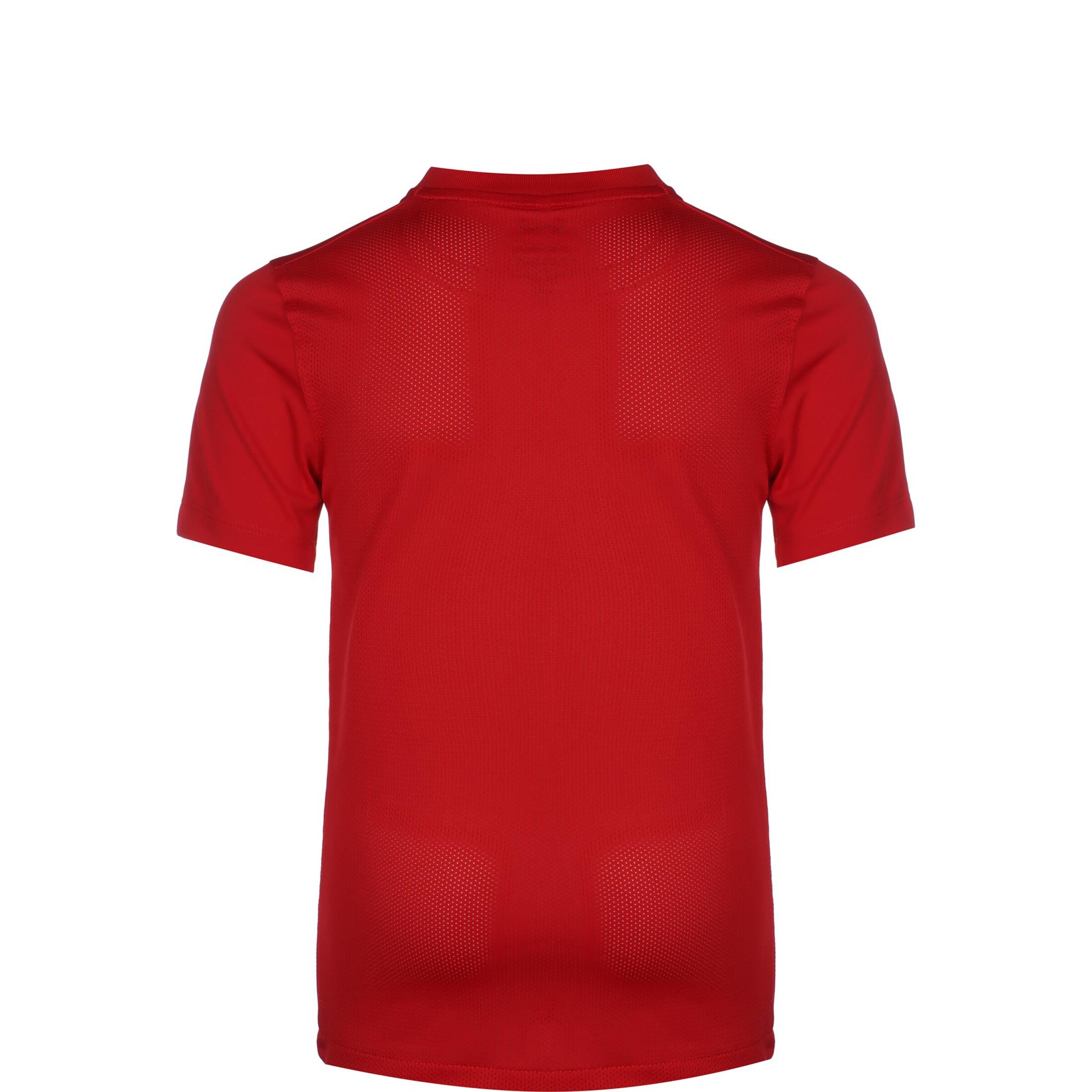 NIKE Shirt  'Precision VI' in Rot