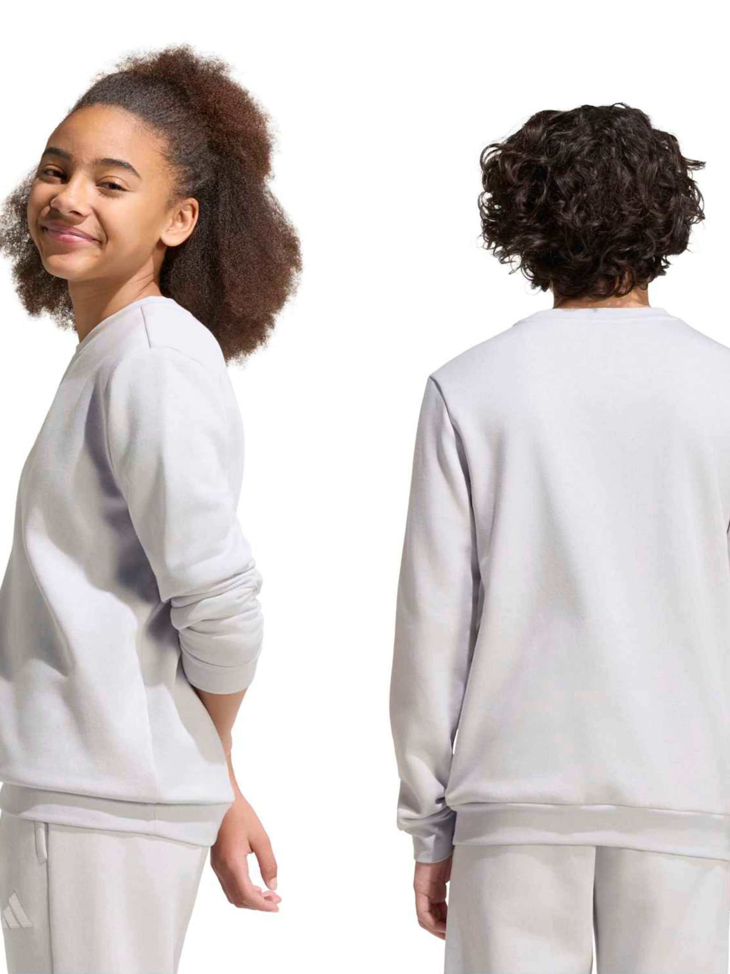 Hanorac sport 'ENT26' de la ADIDAS PERFORMANCE pe gri