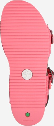 TIMBERLAND Sandale 'Castle Island' in Pink