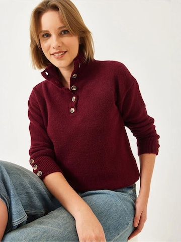 Bianco LucciPulover 'Pullover' - crvena boja: prednji dio