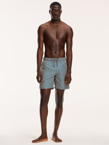 Shiwi Board Shorts in Blue