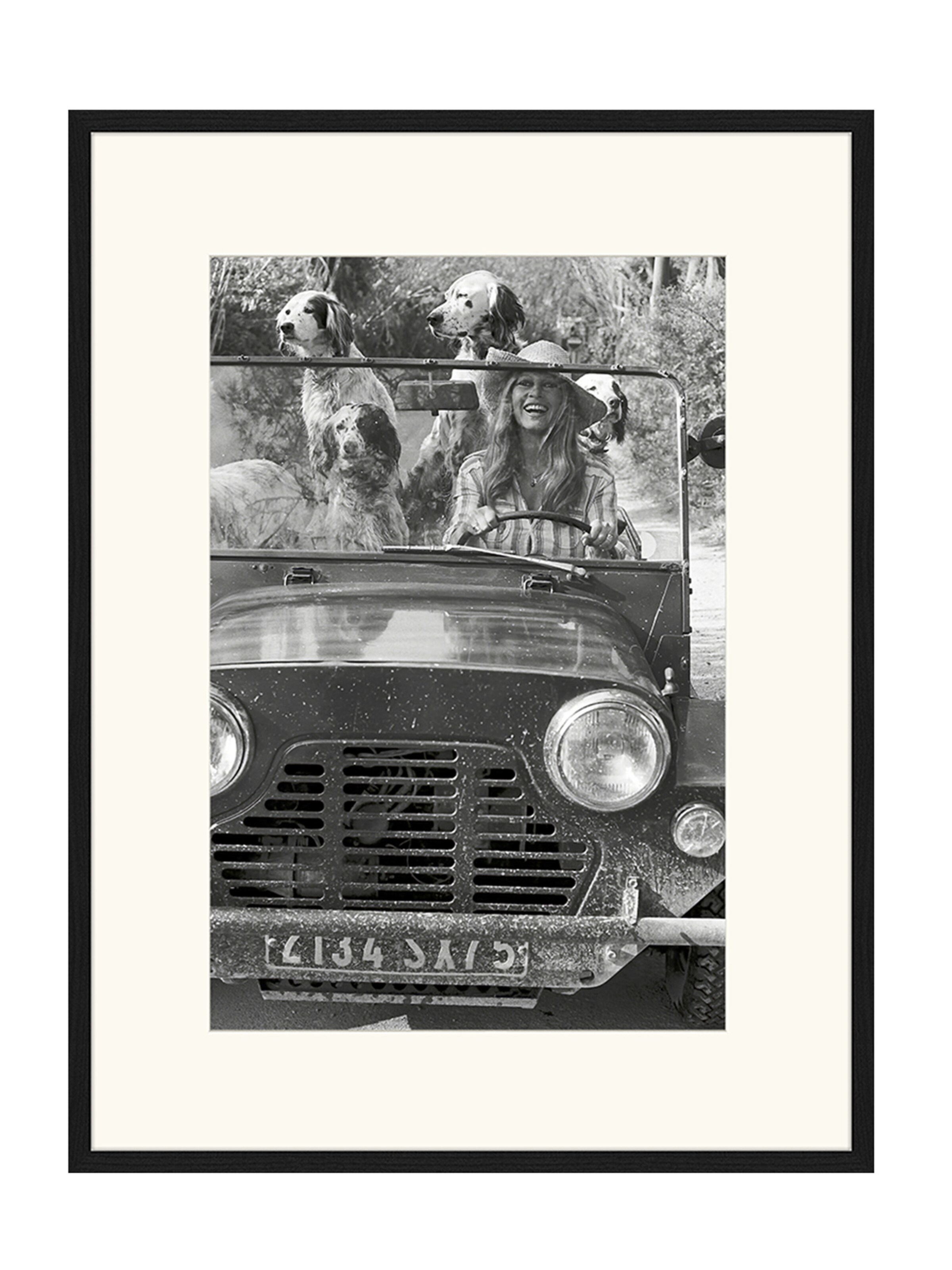 Liv Corday Bild 'Brigitte Bardot with Dogs' in Grau: Vorderseite