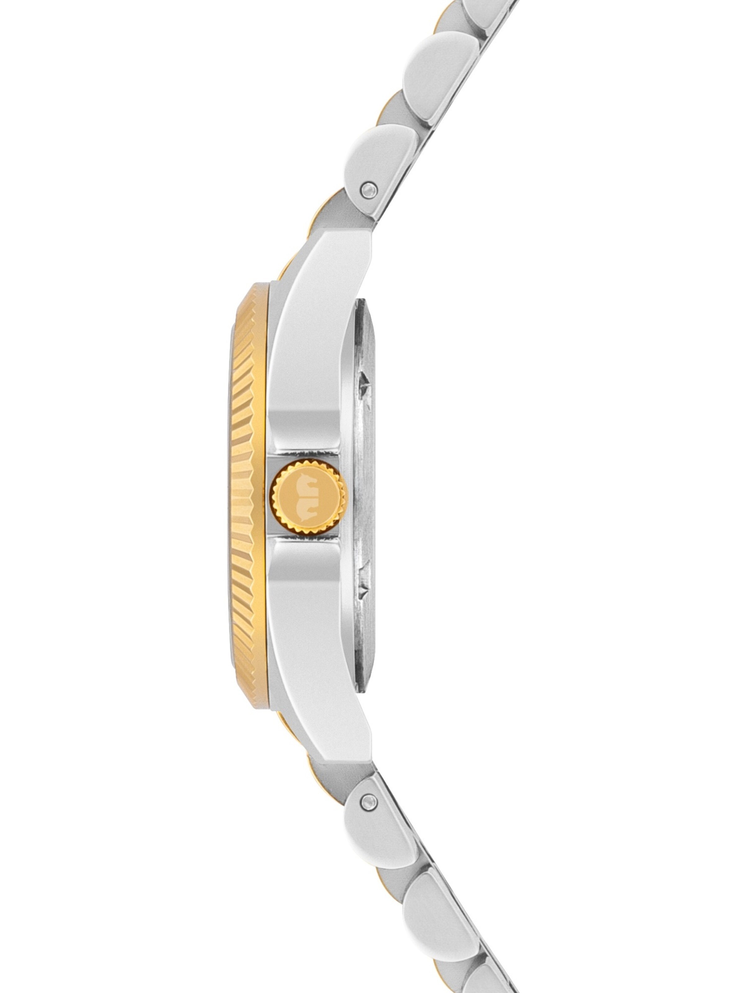 Rhodenwald & Söhne Analog watch in Silver