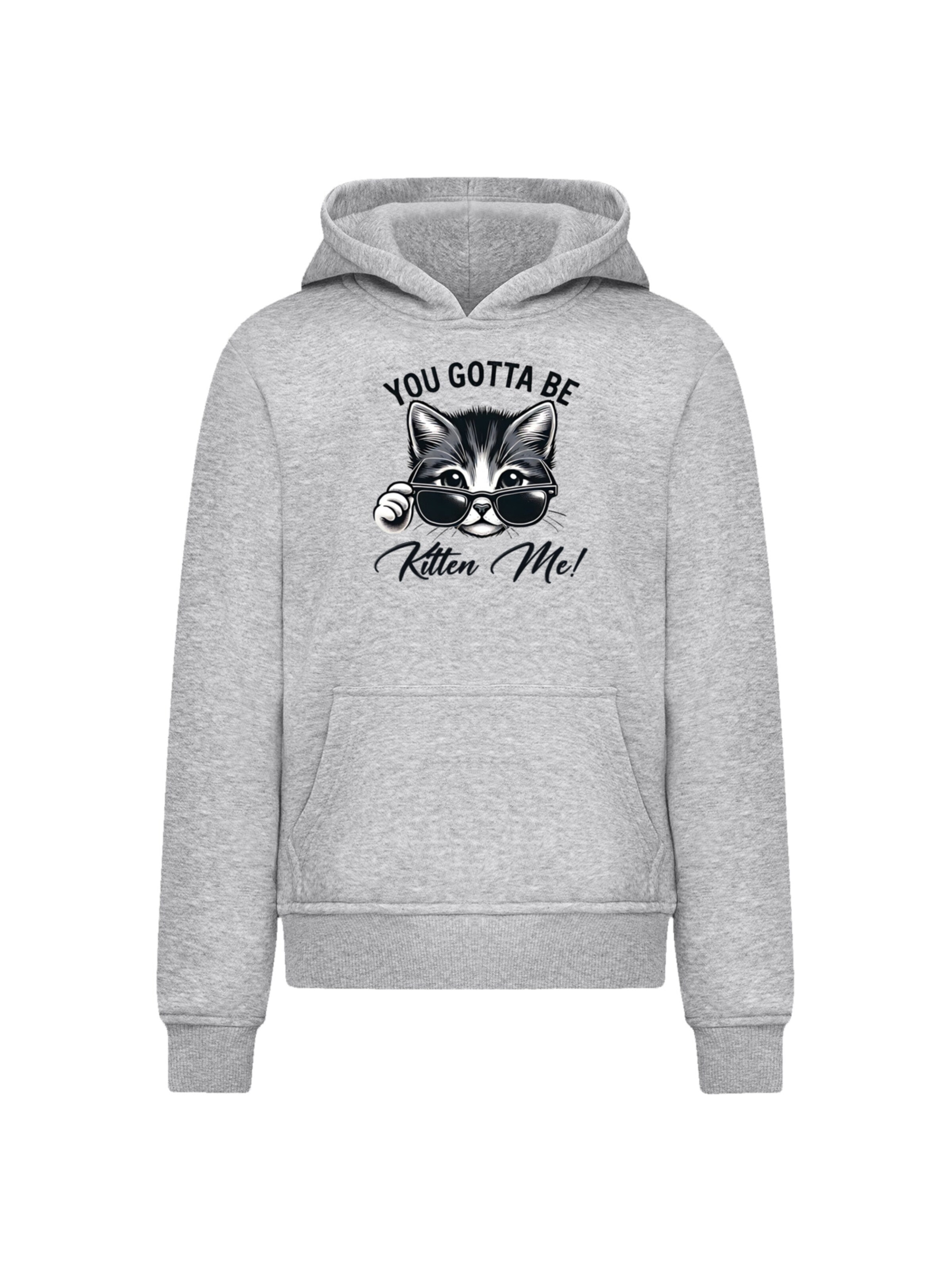 F4NT4STIC Sweatshirt 'Kätzchen You Gotta Be Kitten Me!' in Grau: Vorderseite