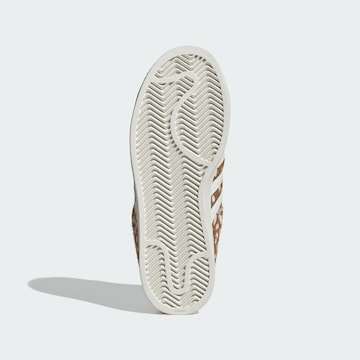 ADIDAS ORIGINALS Σνίκερ χαμηλό 'Superstar II' σε καφέ
