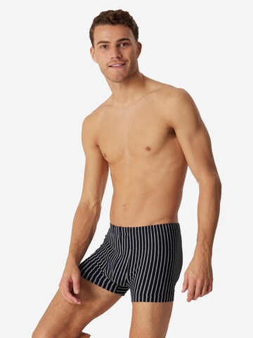 SCHIESSER Boxershorts '95/5 Essentials Organic Cotton' in Zwart