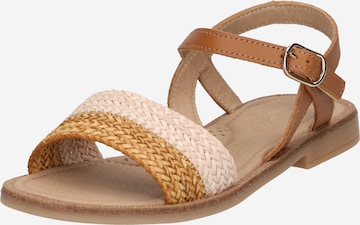 CLARYS Sandals 'NIÑA' in Brown: front