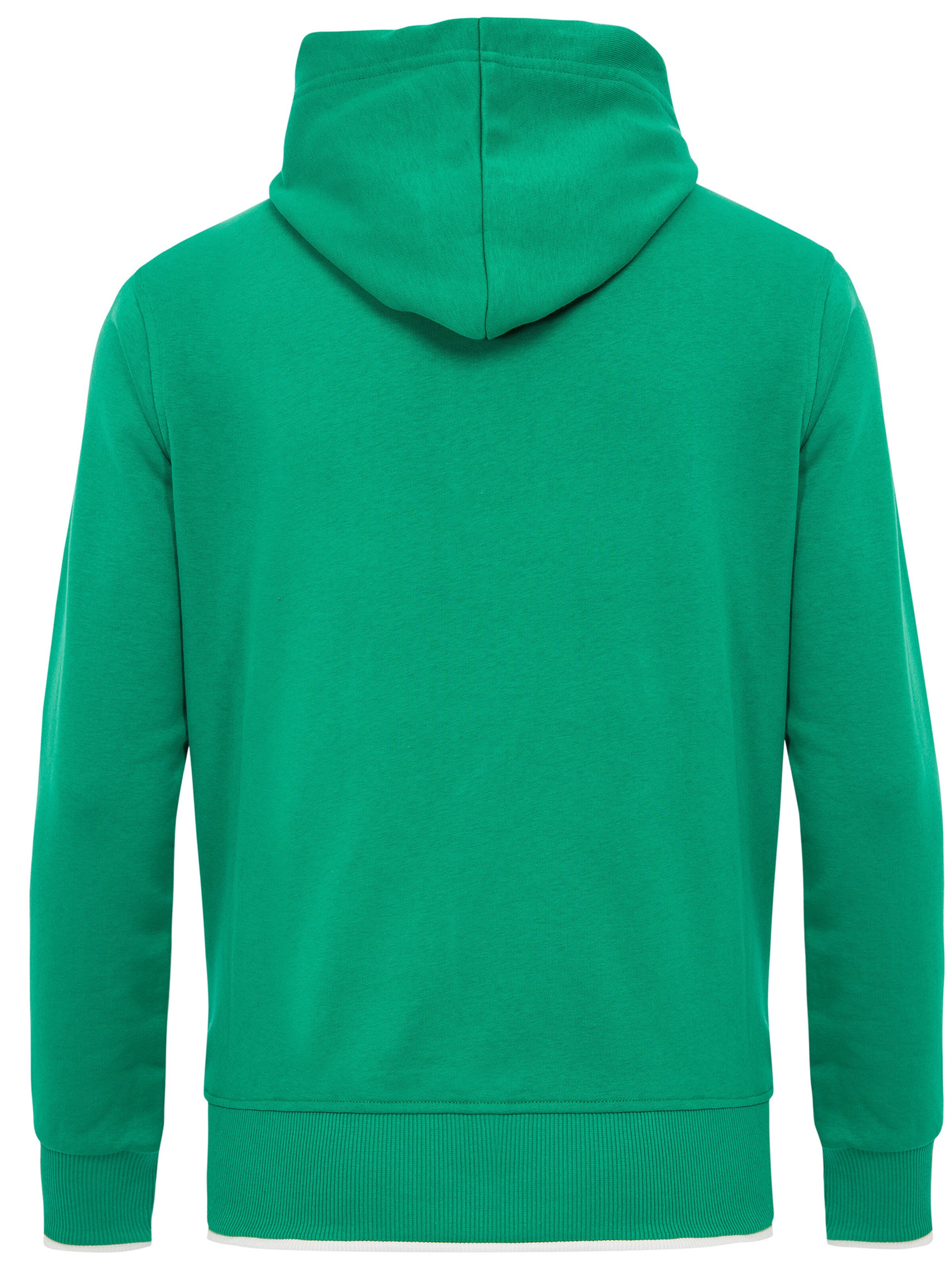 WOTEGA Sweatshirt 'WT Star' in Green