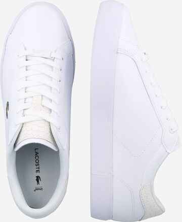 LACOSTE - Sapatilhas baixas 'Powercourt' em branco