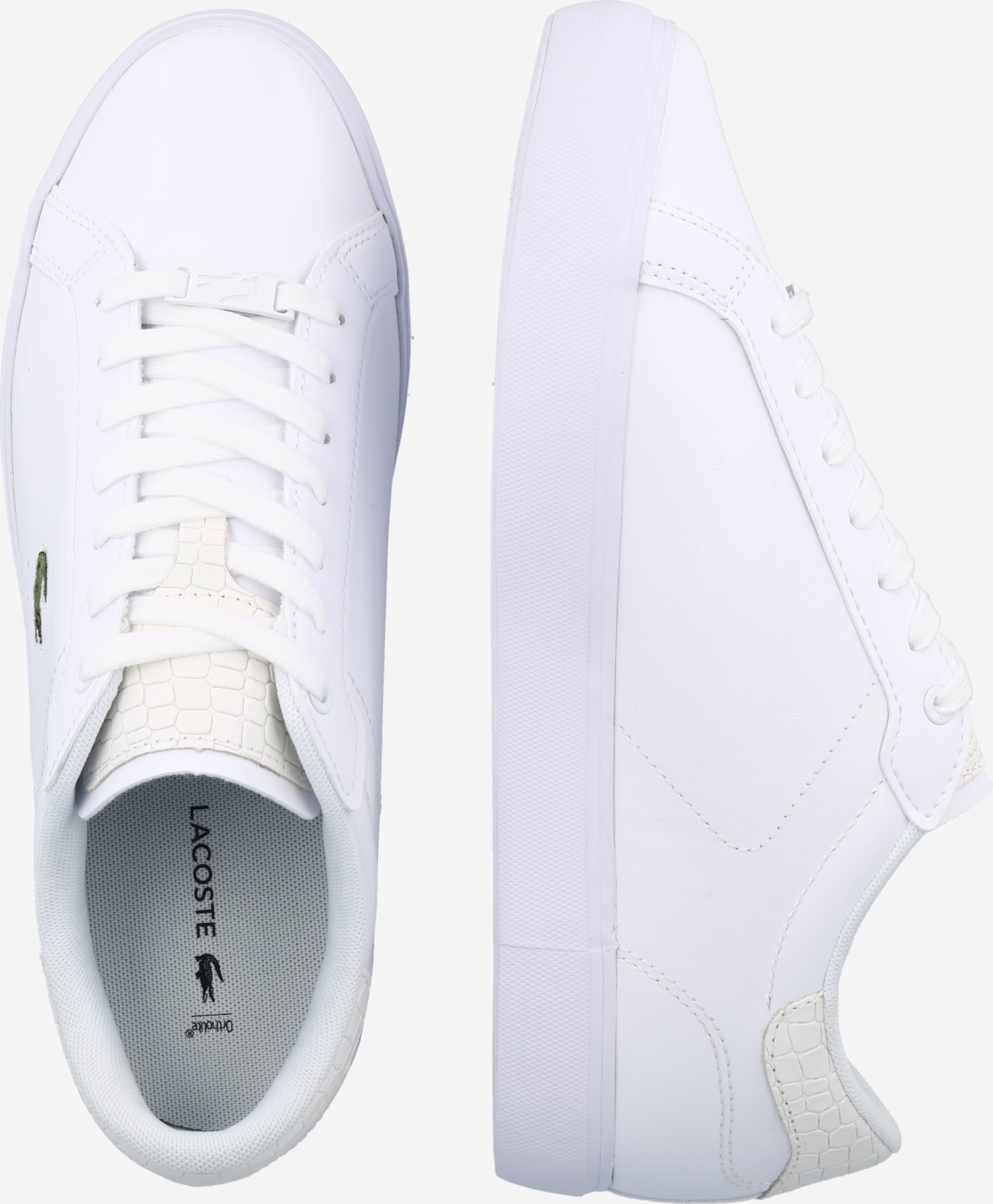 Lacoste lerond caw hotsell