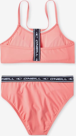 O'NEILL Bustier Bikini in Oranje