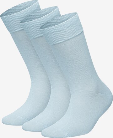 Chaussettes DillySocks en bleu : devant