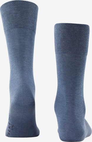 FALKE Socken in Blau