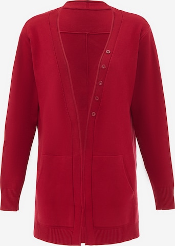 usha BLUE LABEL - Casaco de malha em vermelho: frente