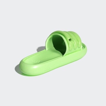 ADIDAS SPORTSWEAR Beach & swim shoe ' ZPLAASH ' in Green