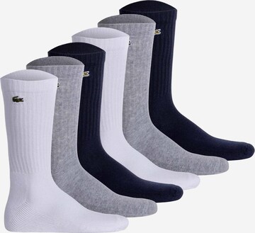 LACOSTE Socks in Mixed colors: front