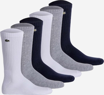 Chaussettes LACOSTE en mélange de couleurs : devant