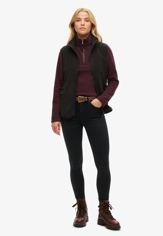 Superdry Trui in Lila