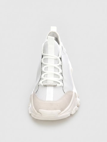 Baskets basses 'Womens Medusa White Shoes' STEVE MADDEN en blanc